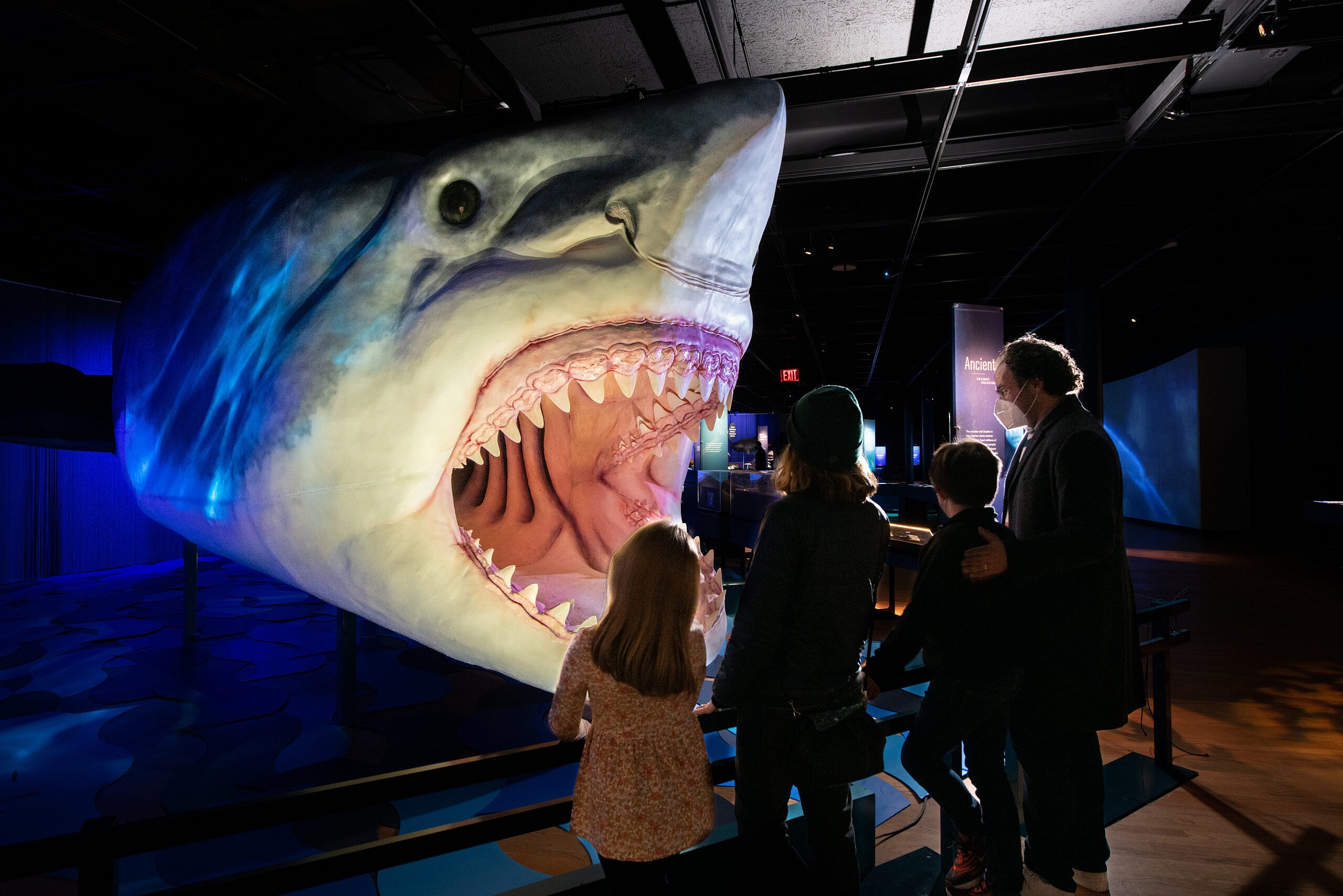 Image of four COSI Guests viewing the Sharks exhibition.
